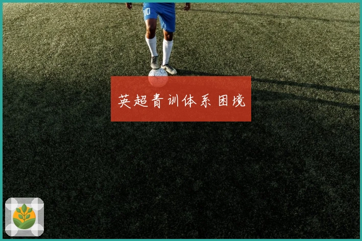 英超青训体系困境