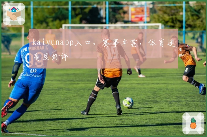 kaiyunapp入口，赛事丰富，体育迷高度好评